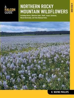 cover image of Northern Rocky Mountain Wildflowers